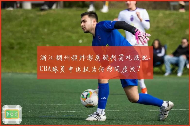 浙江稠州程帅澎质疑判罚吃技犯，CBA球员申诉权为何形同虚设？