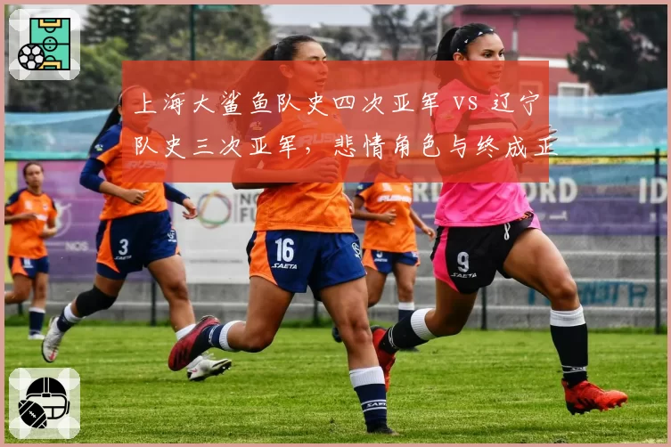 上海大鲨鱼队史四次亚军 vs 辽宁队史三次亚军，悲情角色与终成正果对比